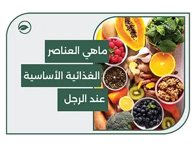 Quels sont les nutriments essentiels pour les hommes ?
