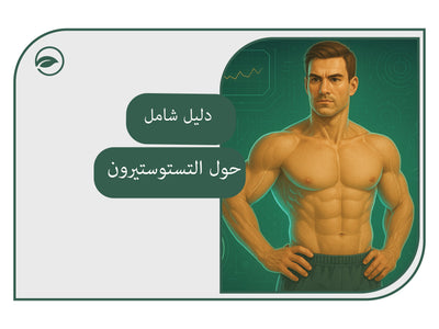 التستوستيرون: دليلك الكامل لعامي 2024 و2025