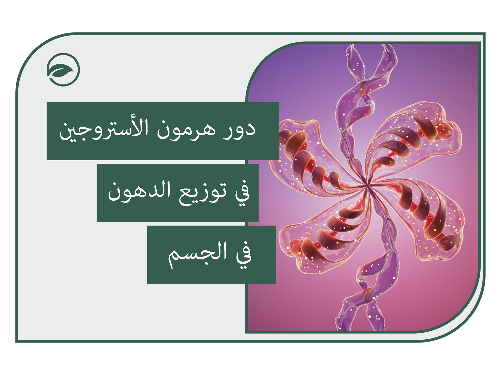 دور الاستروجين في توزيع الدهون في الجسم
